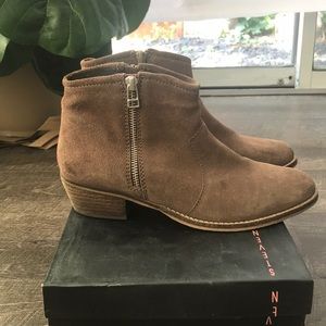 Steve Madden Suede Ankle Boots - Taupe